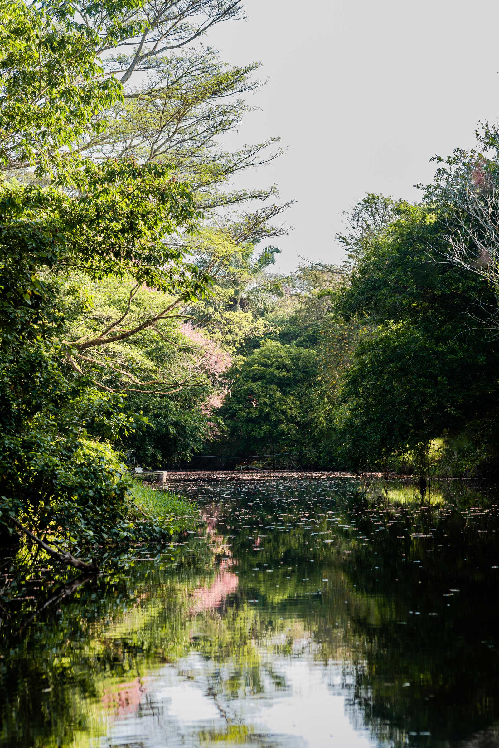 Nakawe - Rio San Juan - Nicaragua